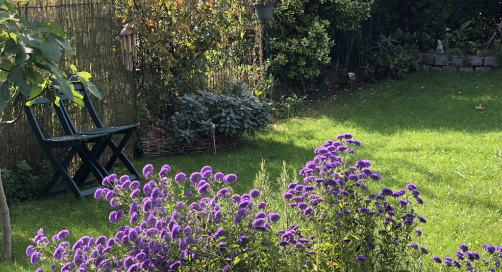 Un jardin tranquille avec des fleurs violettes éclatantes et un banc confortable, conçu avec des éléments de l'habitat Feng Shui.